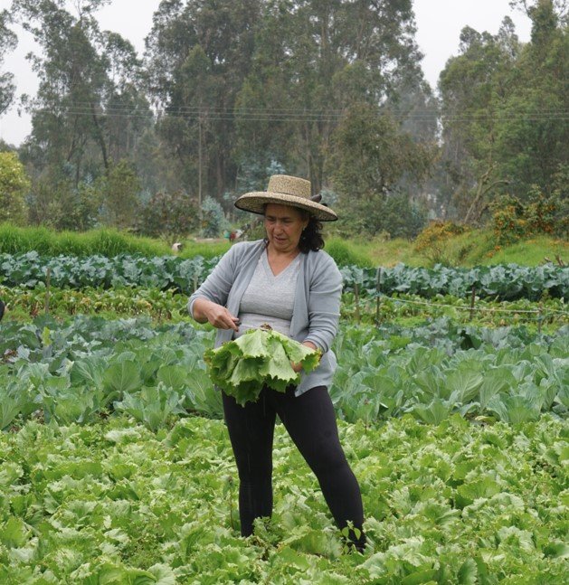 Producción agroecológica en San Joaquín